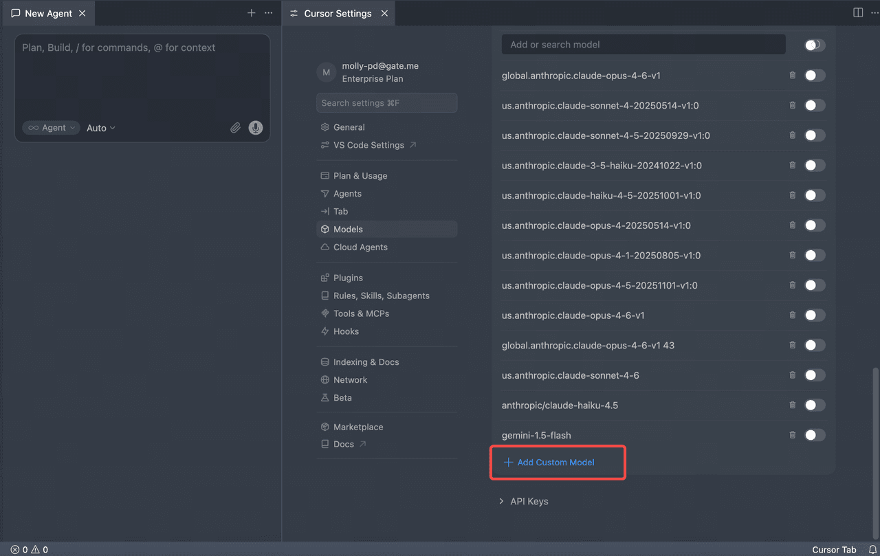 Screenshot of Add Custom Model in Cursor